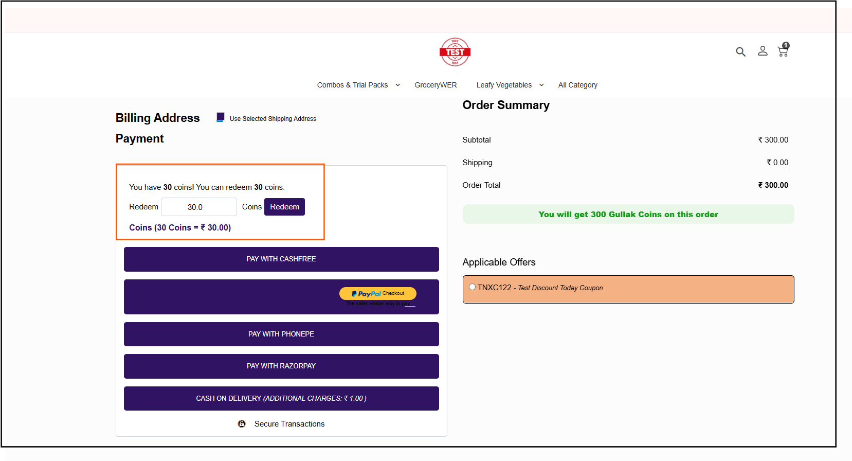 Reward points redemption during ecommerce checkout showing loyalty coins usage